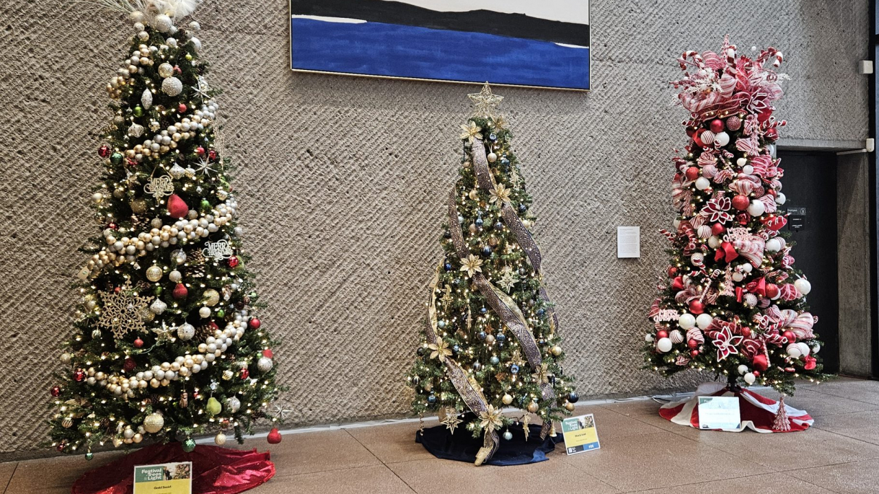 » Everson Museum Celebrates Festival of Trees and Light