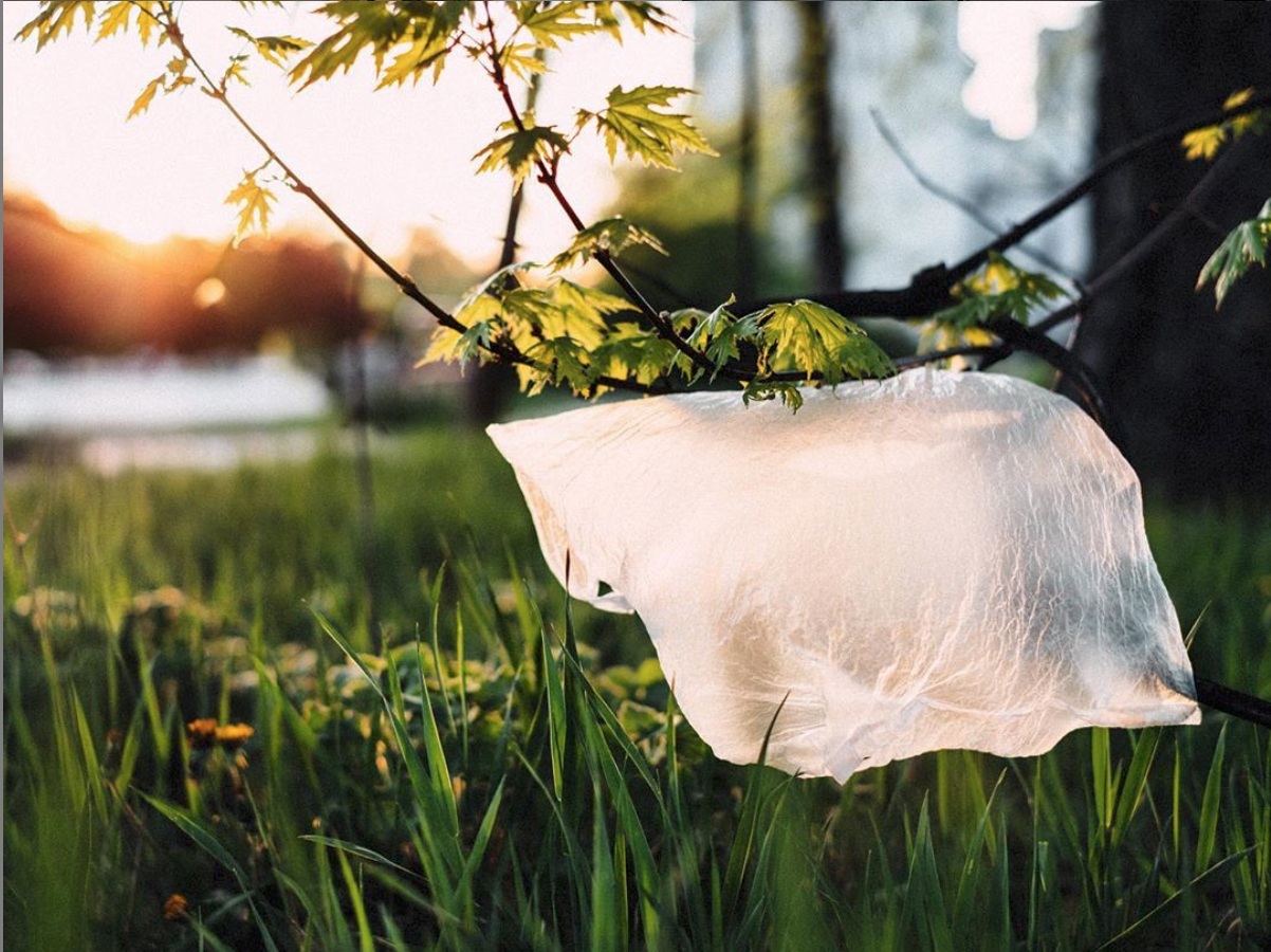 Plastic Bag in nature