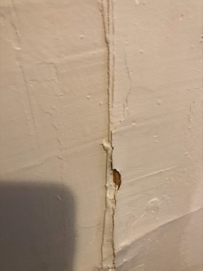 Close-up photo showing a chipped strip of paint in a bathroom, exposing old lead paint