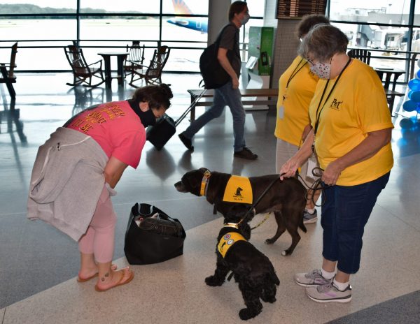 Dogs and their handlers comfort travelers at the Syracuse Hancock International Airport as part of the PET program.