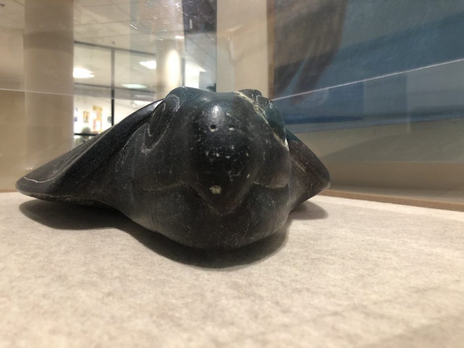 A turtle sits as part of a display at the center.