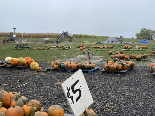 Business is booming despite the volunteer shortages at the Pumpkin Hollow