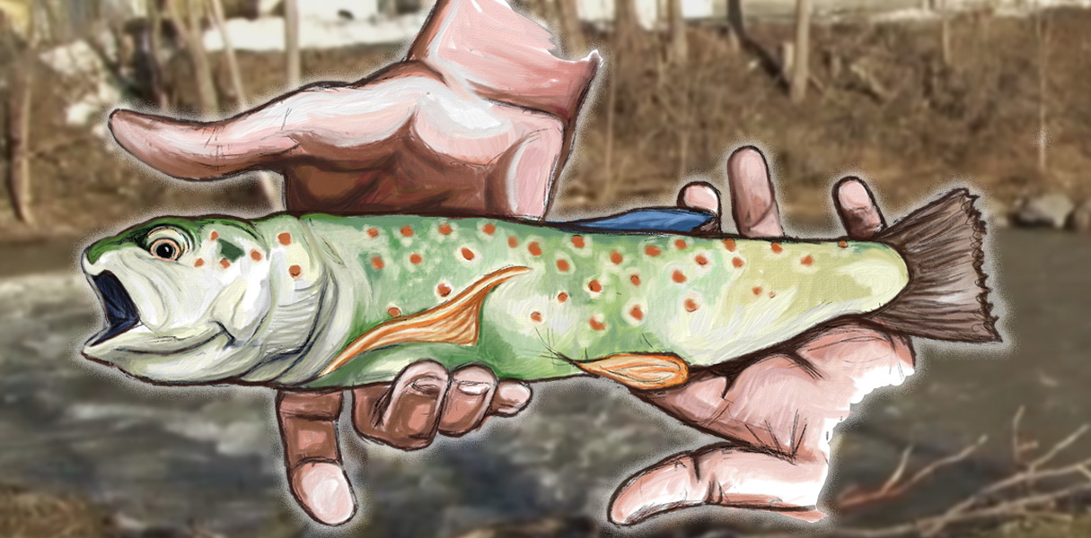 Digital illustration of two hands holding a trout, overlayed on top of an image of Nine Mile Creek.