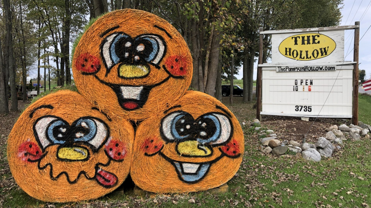 Three hay barrels spray painted orange with goofy faces on them to the left of the frame. The right of the frame shows The Pumpkin Hollow’s sign which reads “The Hollow - ThePumpkinHollow.com - Open 10-6 - 3735”.