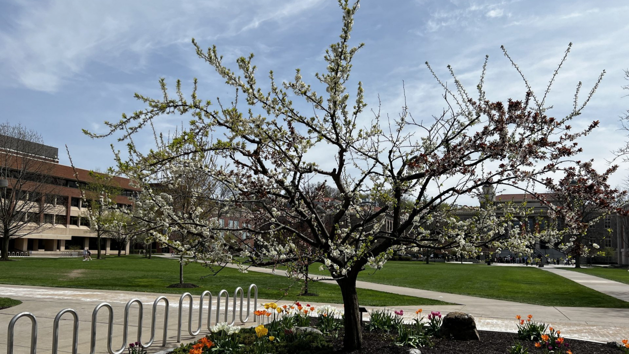 Seasonal allergies are on the rise as the spring season brings warmer weather to Central New York