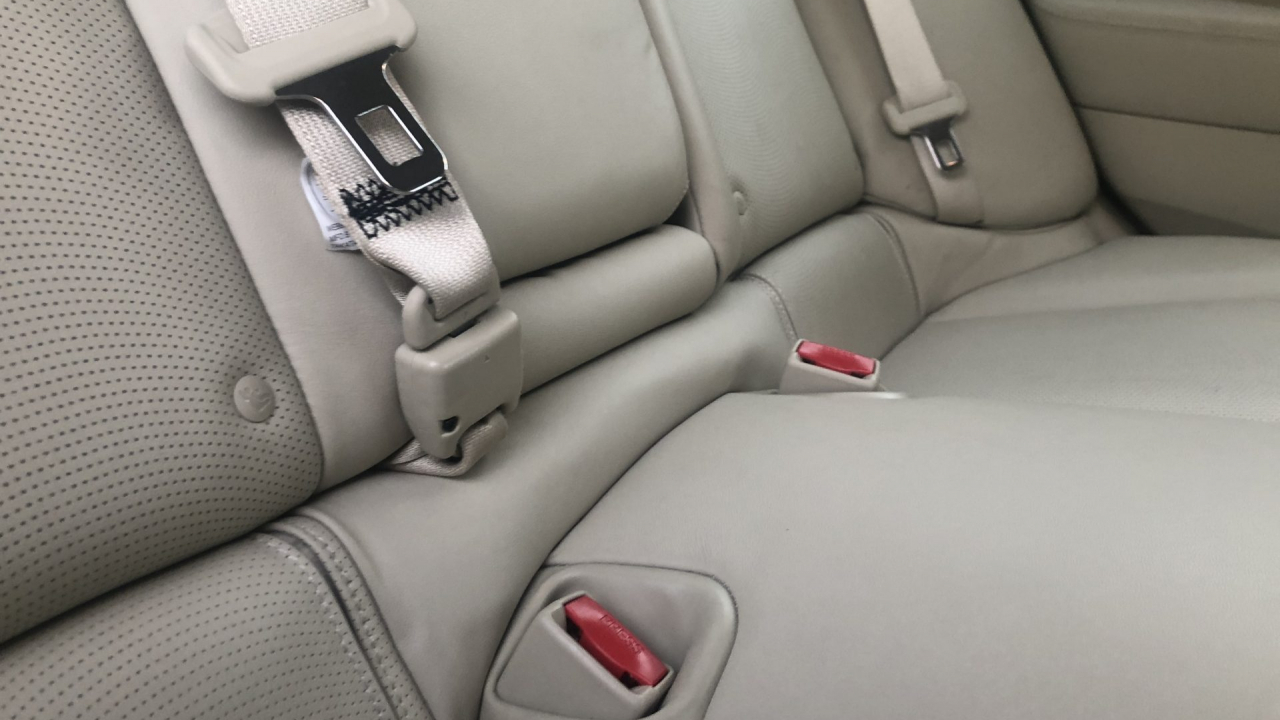 Seat belt in back seat of car.