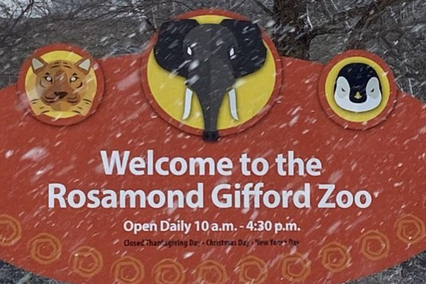 Syracuse Zoo's new Twist to Kick off Holiday Celebration