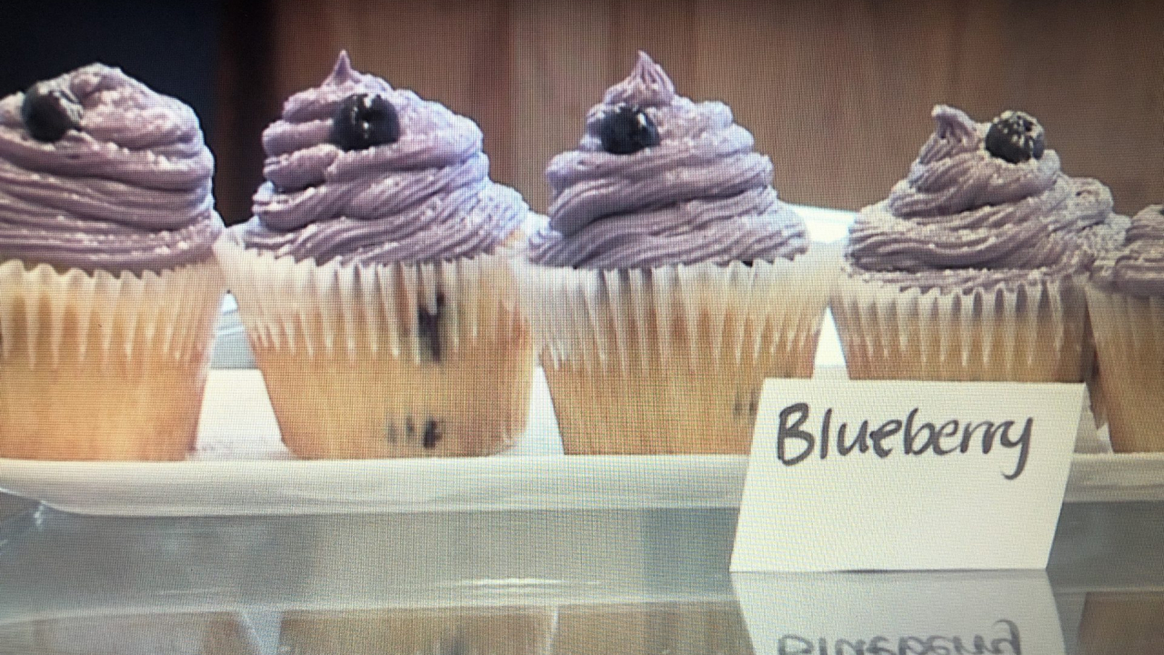Blueberry cupcakes.