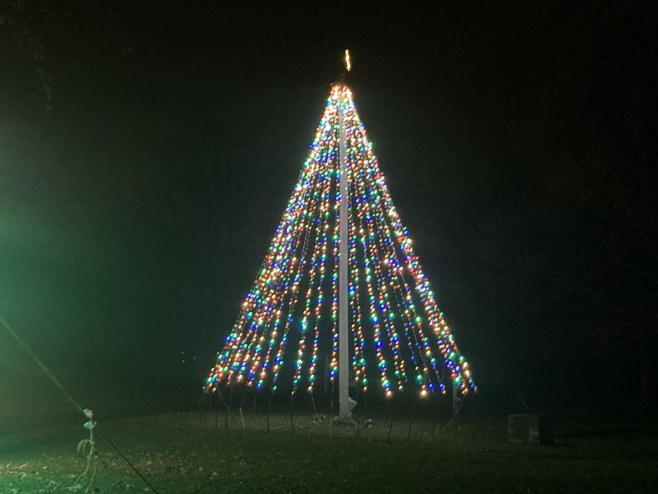 A lit-up Christmas tree at Lights on the Lake