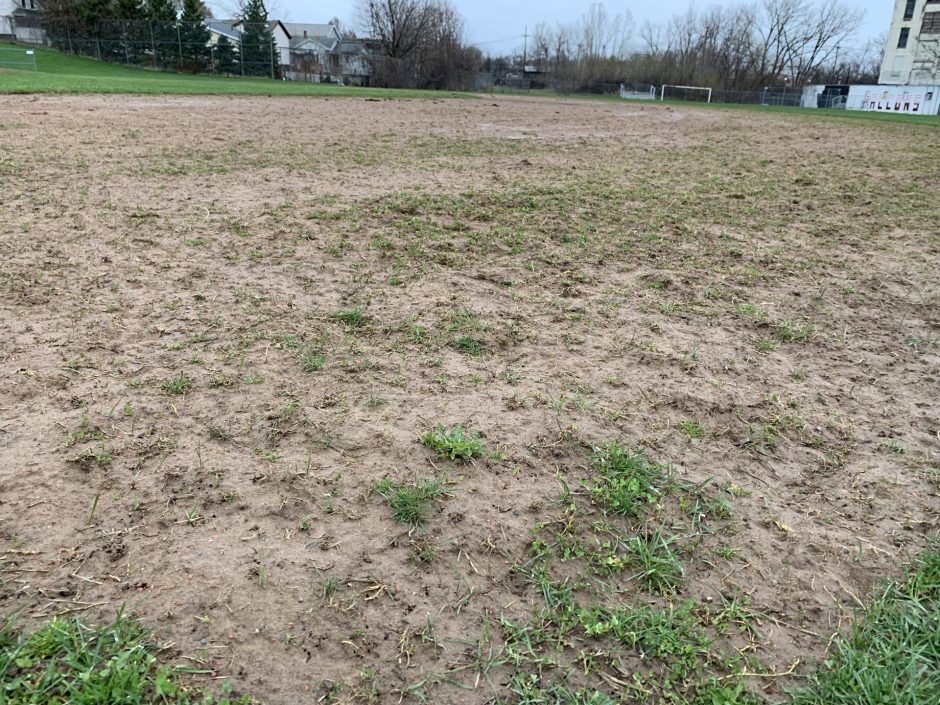 Weeds covering the infield of the Fowler High School baseball field.