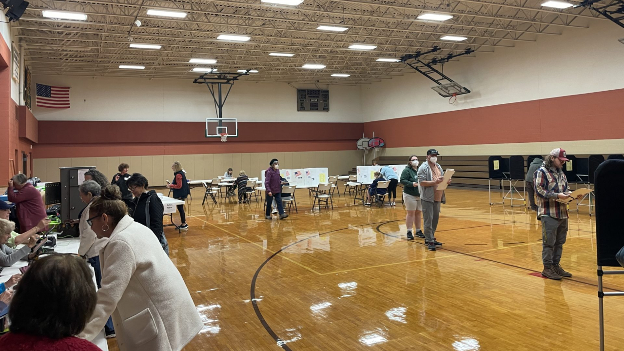 Voters at a Camillus polling site