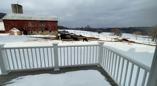 red barn, cows, snow, porch