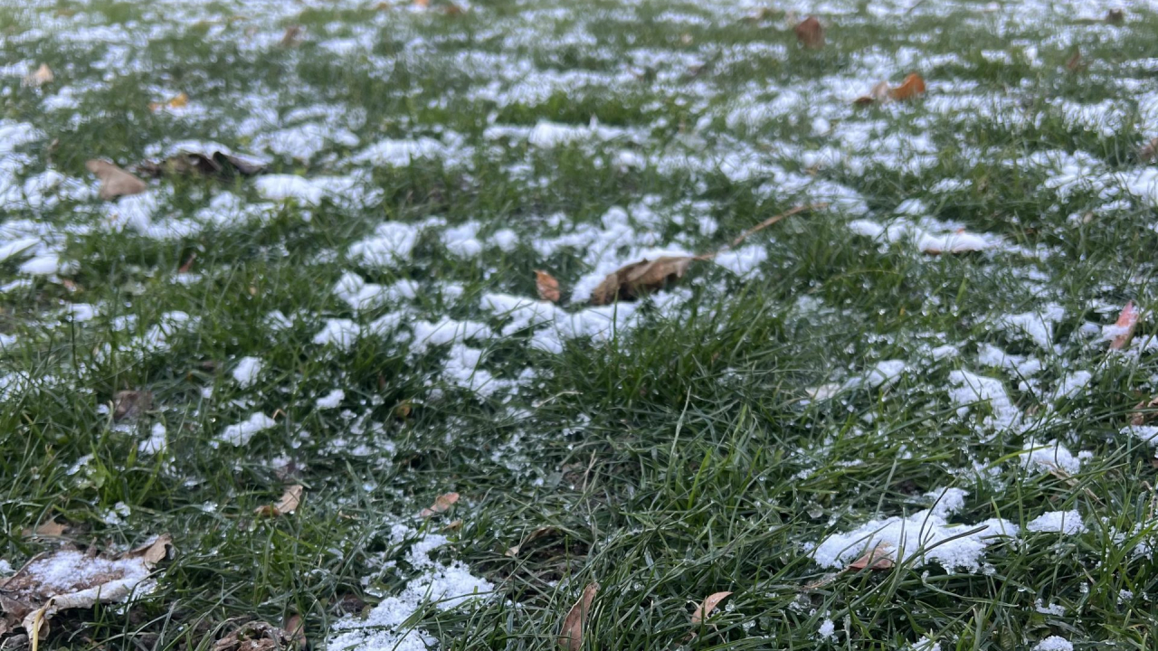 Snow on the ground.