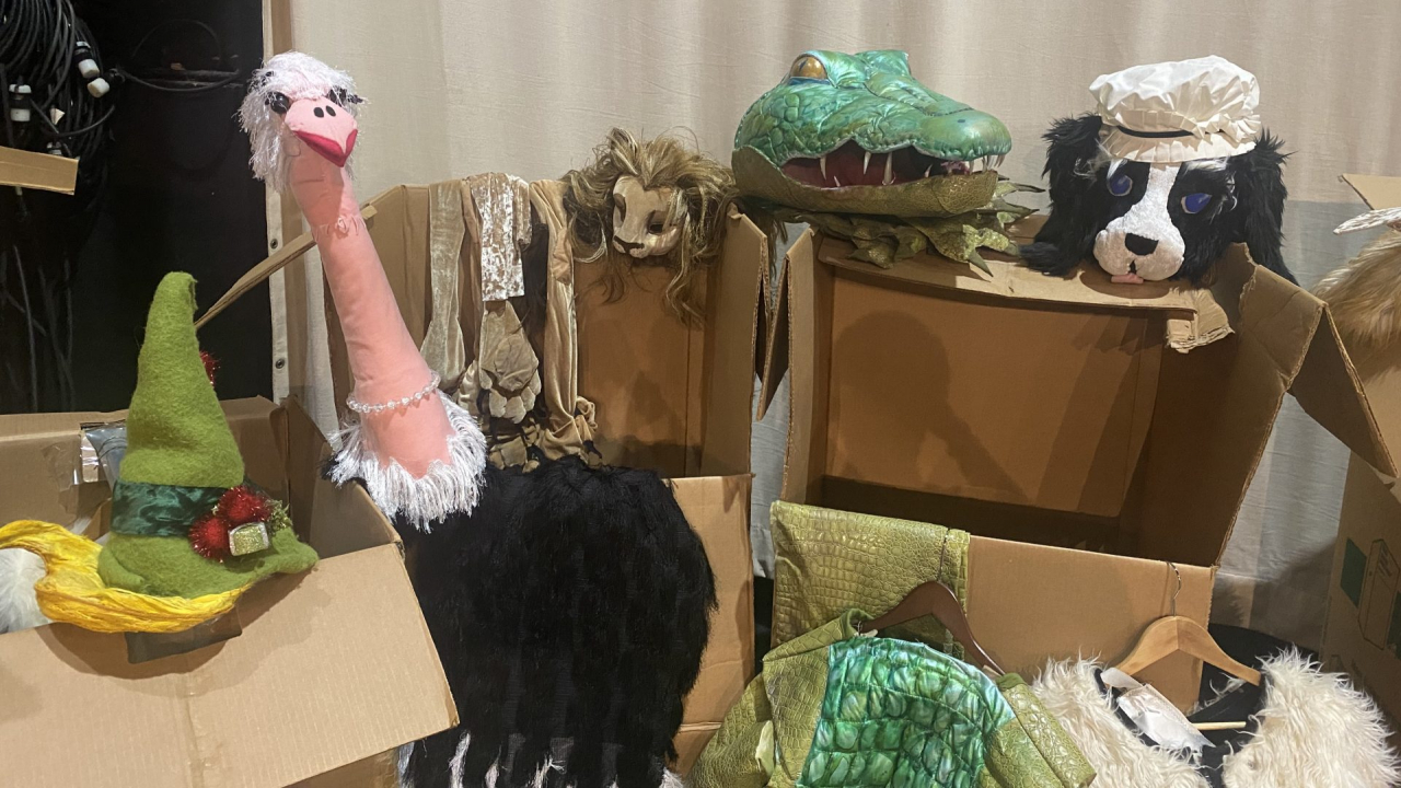 Elf hat, ostrich, gator head, bear head, lion head, boxes