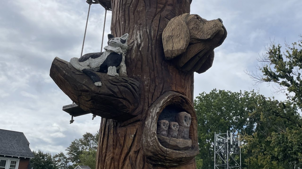 A tree sculpture featuring carved animals in front of the Mattydale Animal Hospital in Mattydale, N.Y.