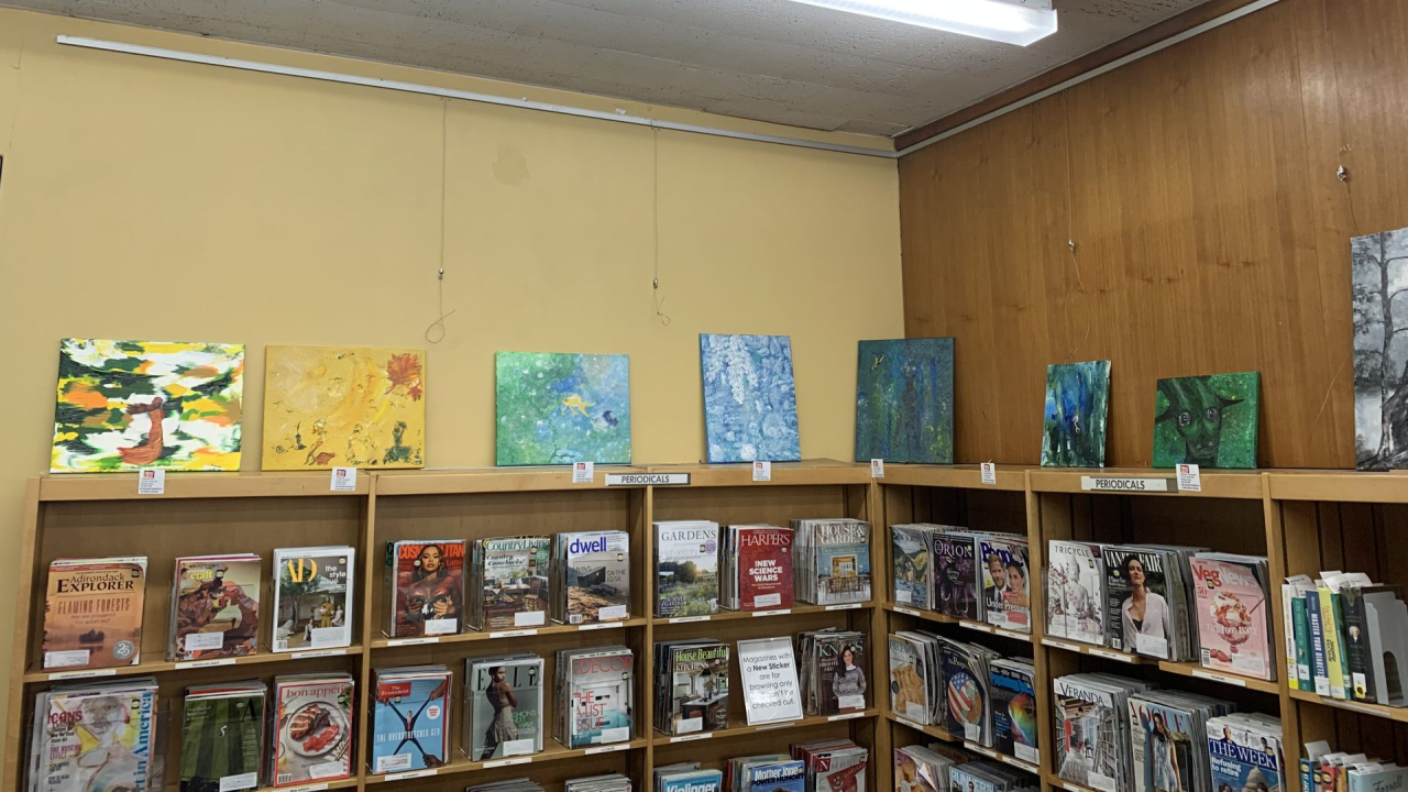 artist's paintings on display at library