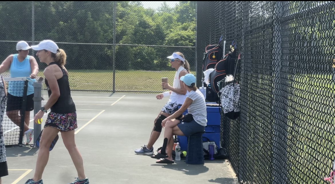 The park has announced plans to make permanent pickle ball this summer, so people don't have to put up their own net to play.