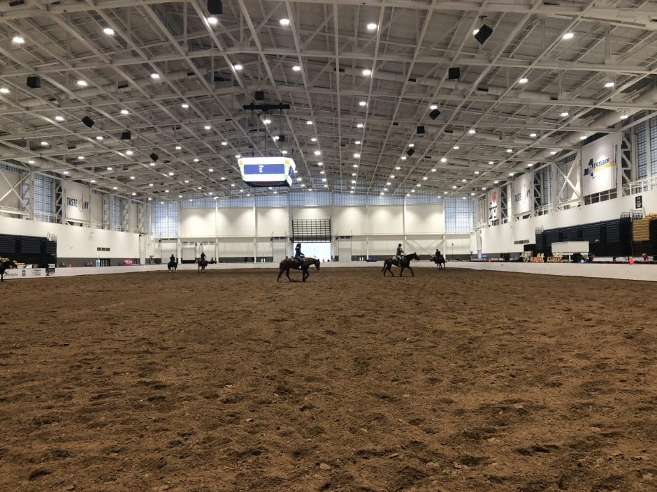 Horses warming up in expocenter
