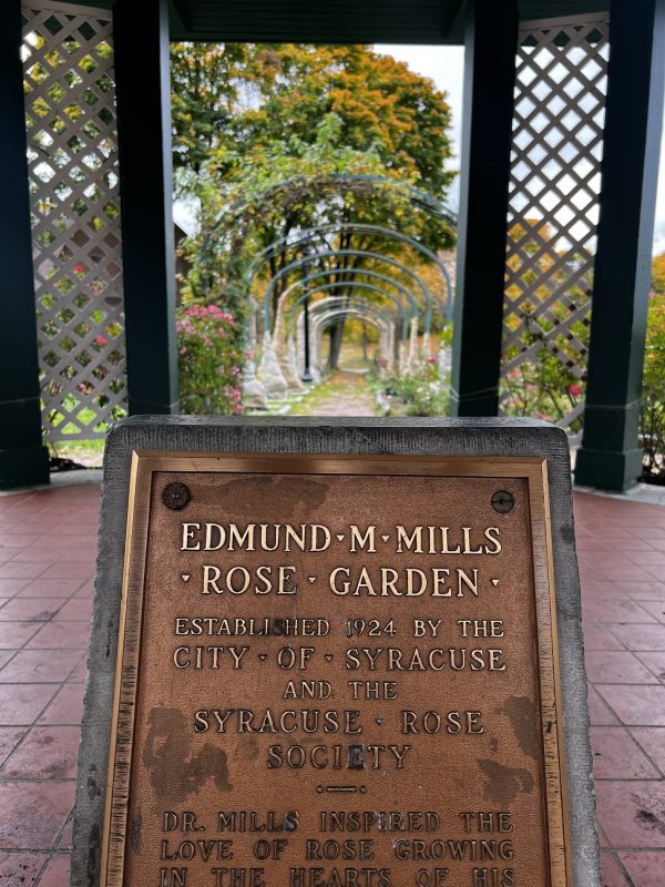 A plaque honors Dr. E.M. Mills at the center of the rose garden.