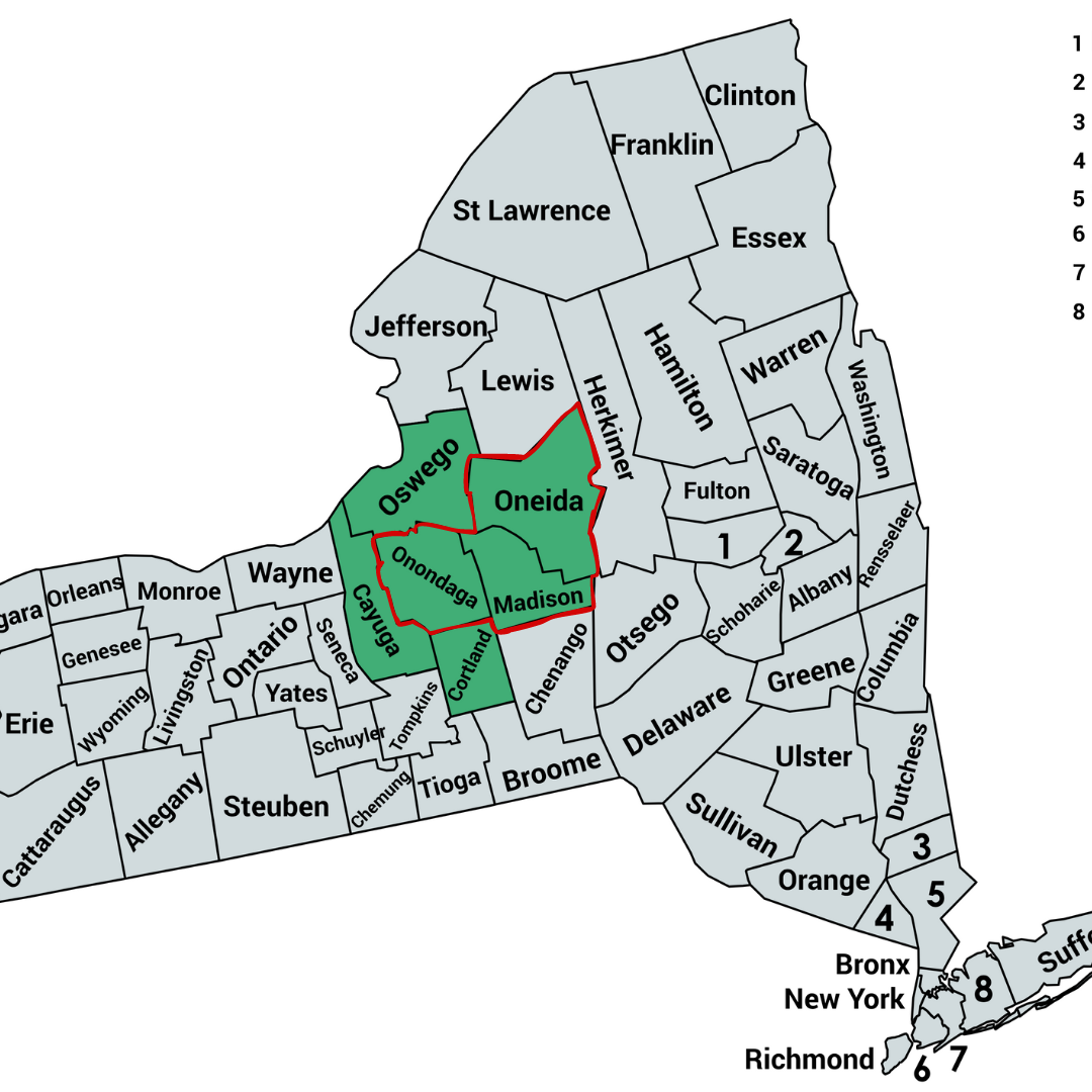 » New York State New Redistricting Impacts NY-22