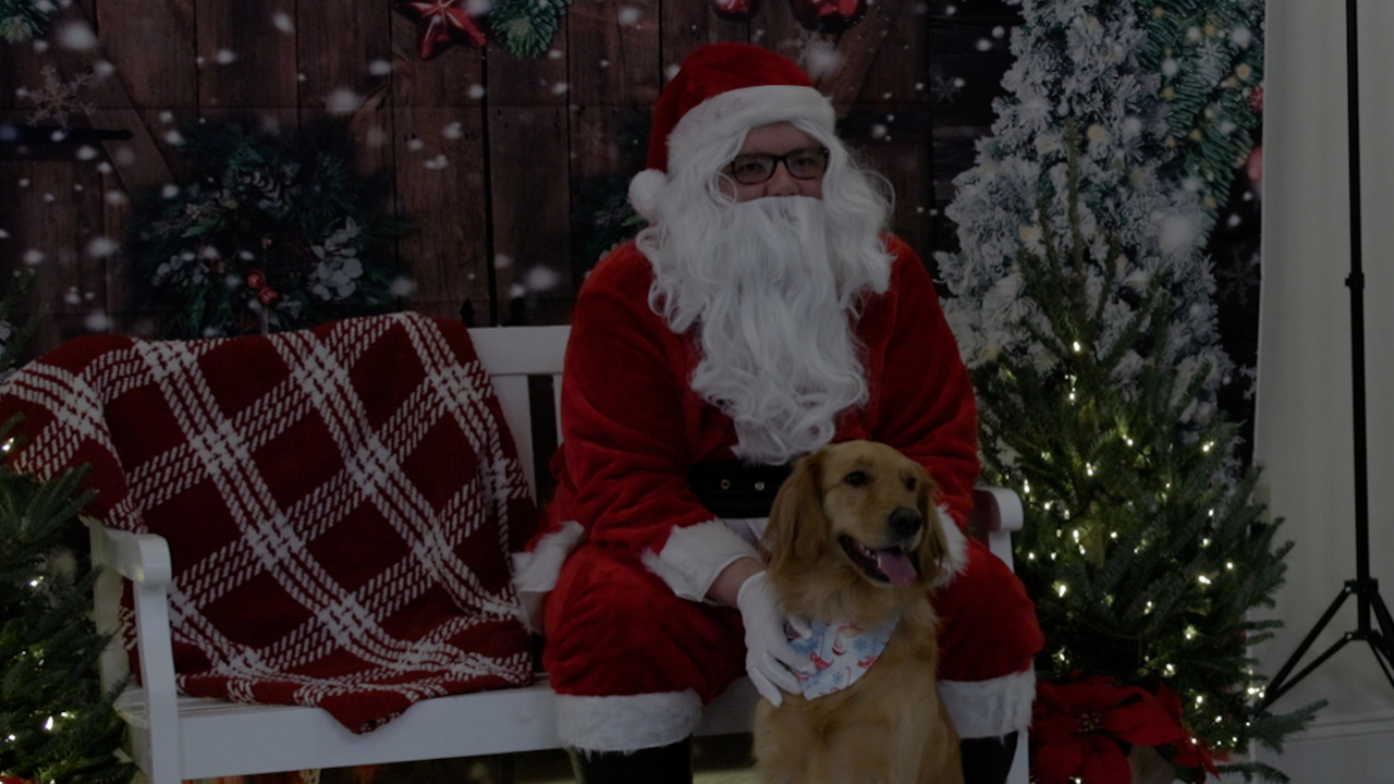 A dog sits in front of Santa for a picture at Recycle-A-Bull Bully Breed Rescue's Annual Santa Paws event.