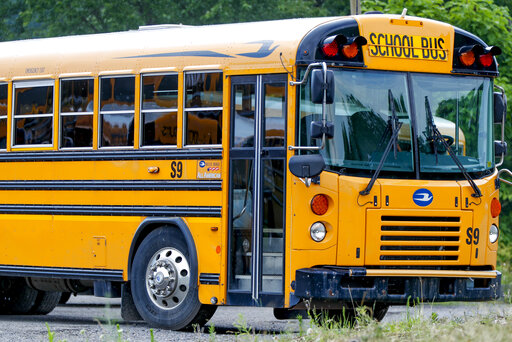 A school bus parked on the road.
