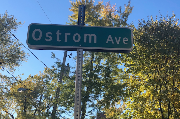 Ostrom Avenue