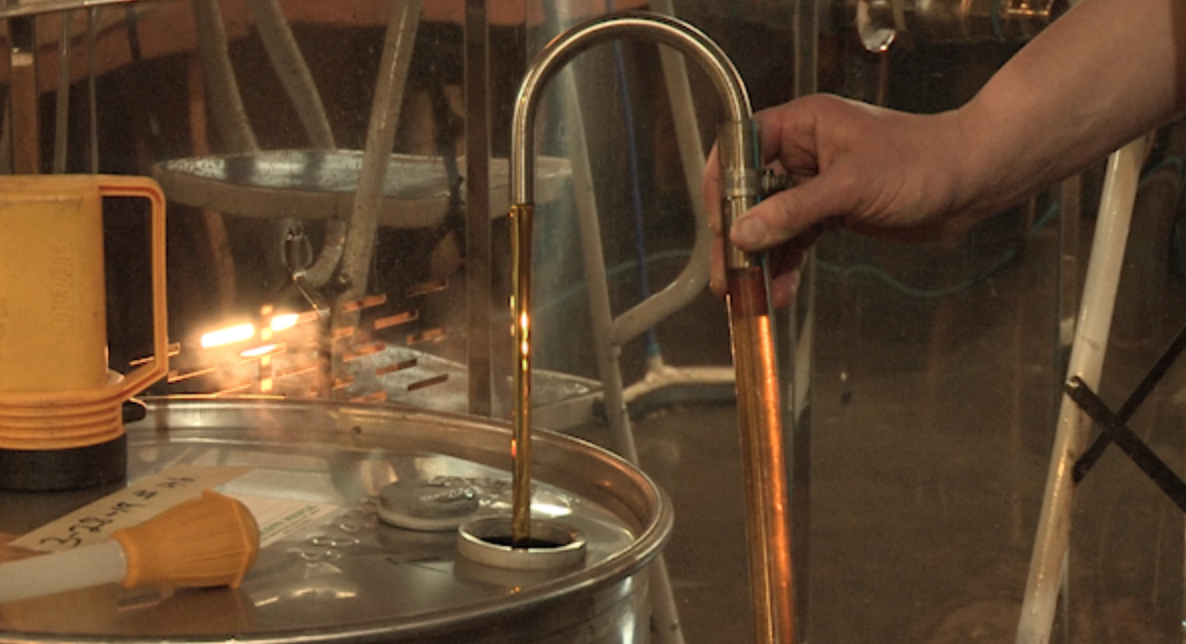 Maple Syrup is poured into a barrel once it is produced.
