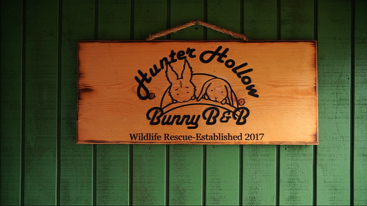 Hunter Hollow Bunny Bed and Breakfast is shutting down adoption during Easter weeks.