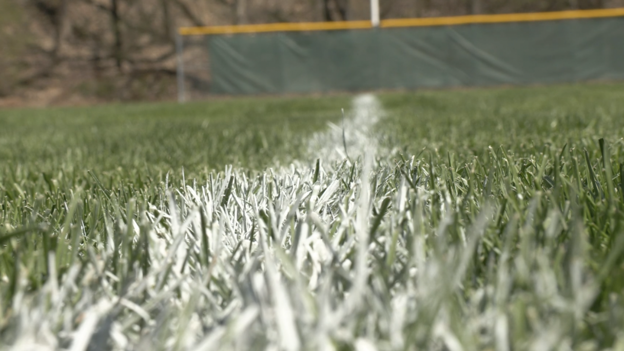 A strip of white paint on grass extends toward the image's horizon, leading to the fence of a baseball field.