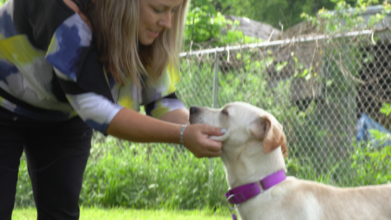 woman petting dog