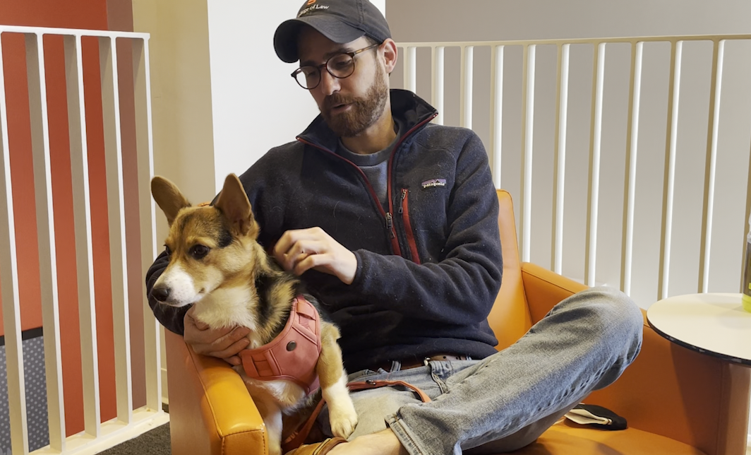 » Vet Shortage in Central New York