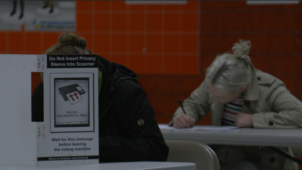 Two voters behind privacy screens at a polling location.