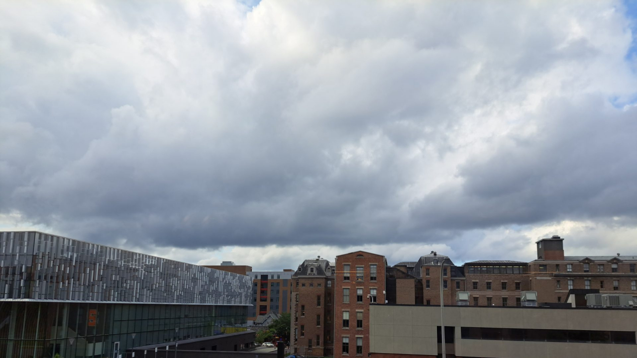 Skyline photo looking across waverly Ave. from the Newhouse school