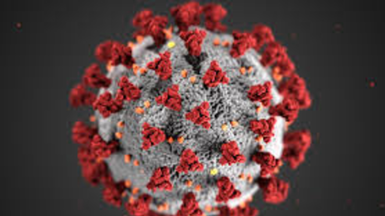 A microscopic image of the COVID-19 virus.