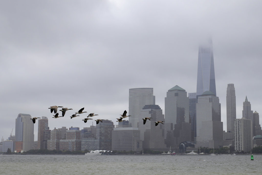 A flock of birds takes flight over the Hudson River with the Lower Manhattan skyline partially visible because of fog seen from Liberty State Park, Sunday, July 22, 2018, in Jersey City, N.J.
