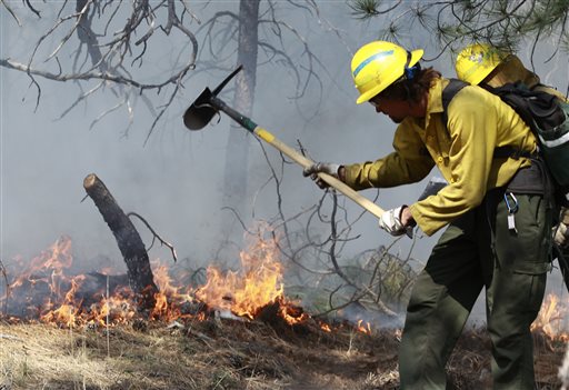 A firefighter works to help extinguish flames in the forest.