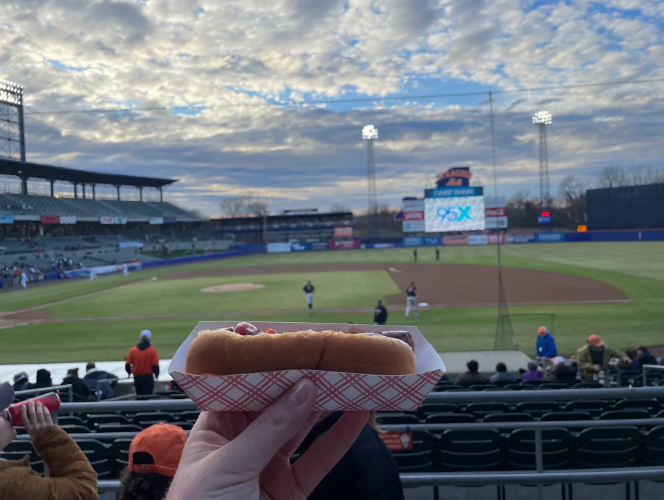 Hot Dog in Front of NBT Bank Stadium's field