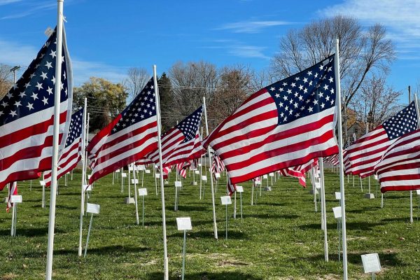 Rows of American Flags in a green grass filled field