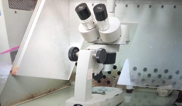 A microscope at Envirologic