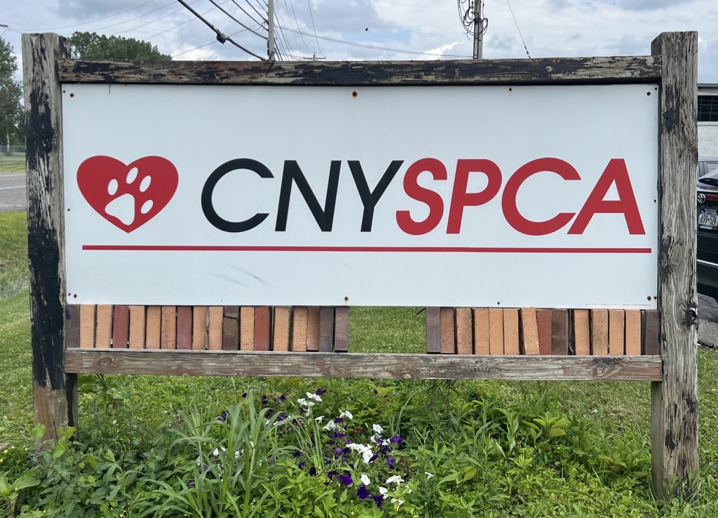 Sign in front of Central New York SPCA. Photo by Rosie Rapisarda