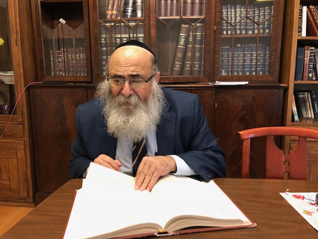 Rabbi Yakov Rapoport reads the Torah.