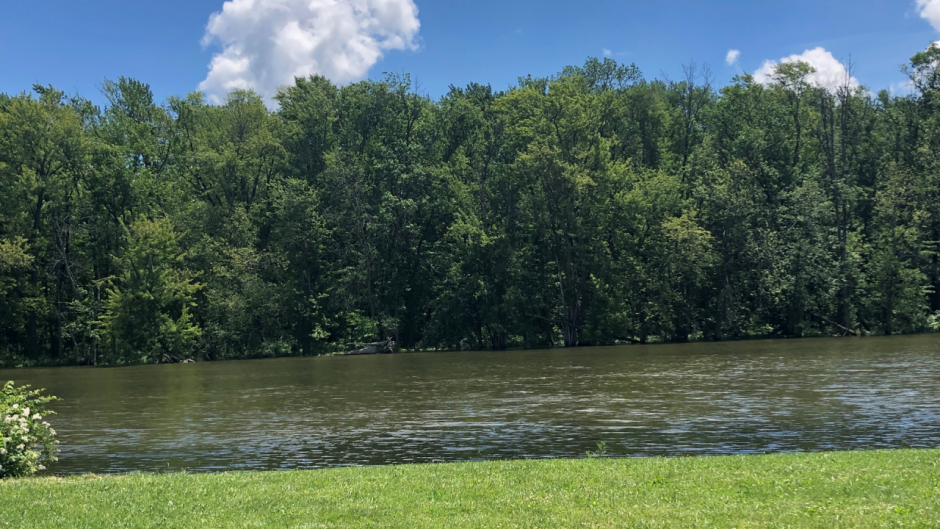 » High Water Causing Muddy Paths Along Seneca River Shores