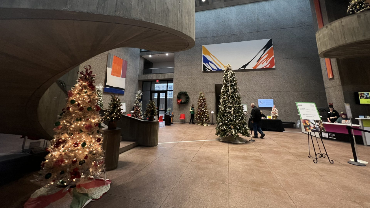 Tree display at the Everson Museum Festival