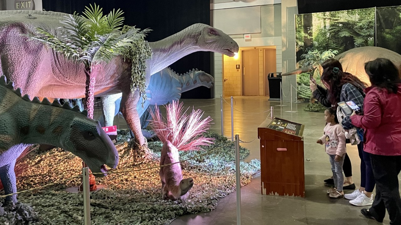 » Dinosaur Adventure Comes to Syracuse Oncenter